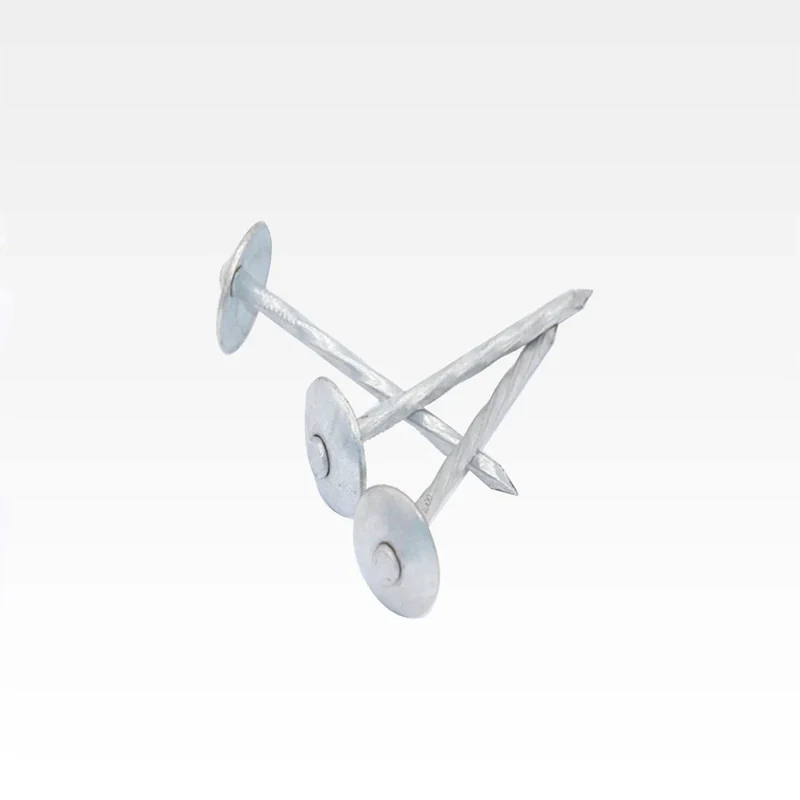 Roofing Nails with Umbrella Head - Wholesale Hardware Tools Sourcing - China Tools Supply